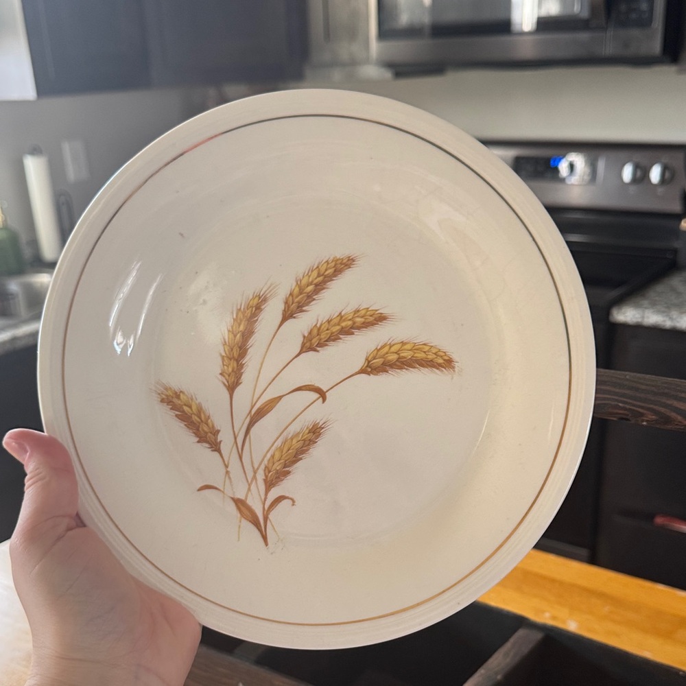 Wheat Design Cream Dinner Plate